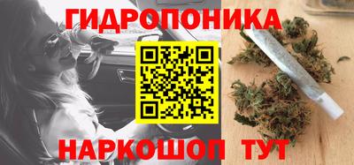 дмт Обь