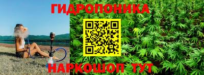 дмт Обь